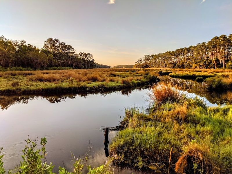 Trail Networks That Feel Like Nature's Maze