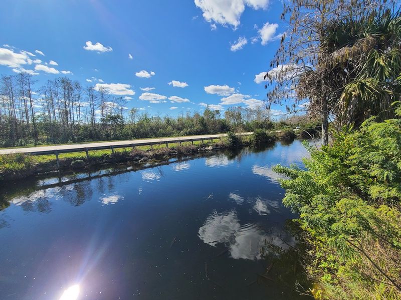 Florida National Scenic Trail (Multiple Sections)