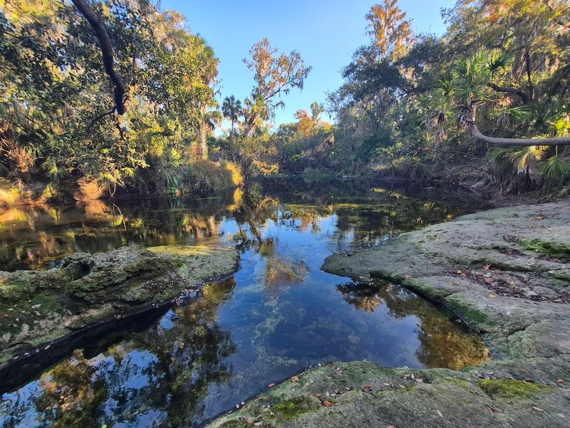 Lithia Springs Conservation Park (Lithia)