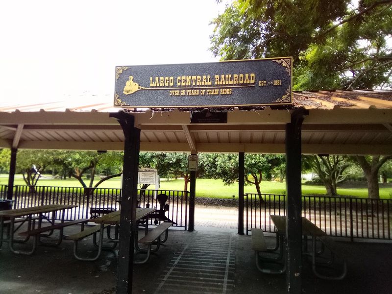 Party Rentals Create Unforgettable Celebrations