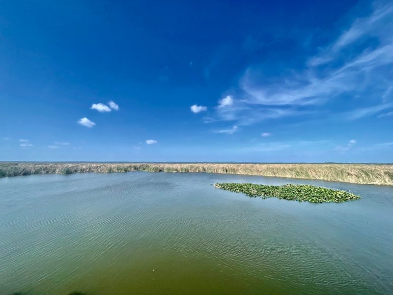 Lake Apopka (Orange and Lake Counties)