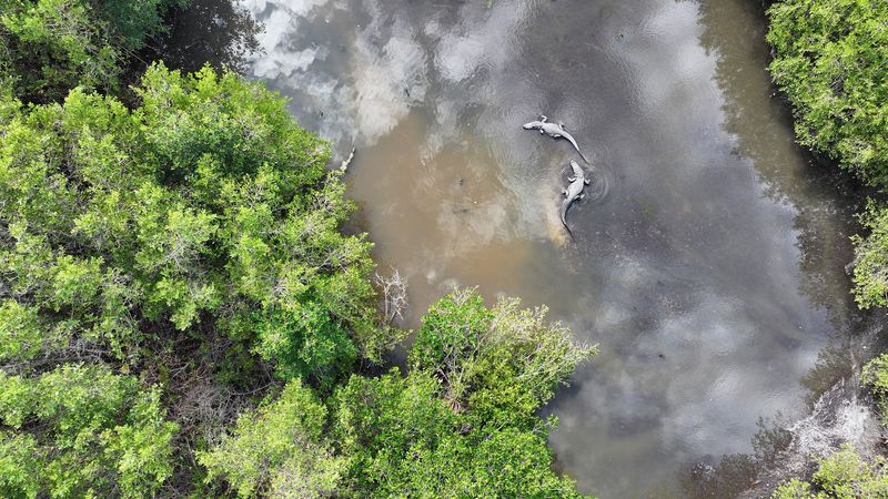 Wildlife So Diverse It Rivals Any National Park