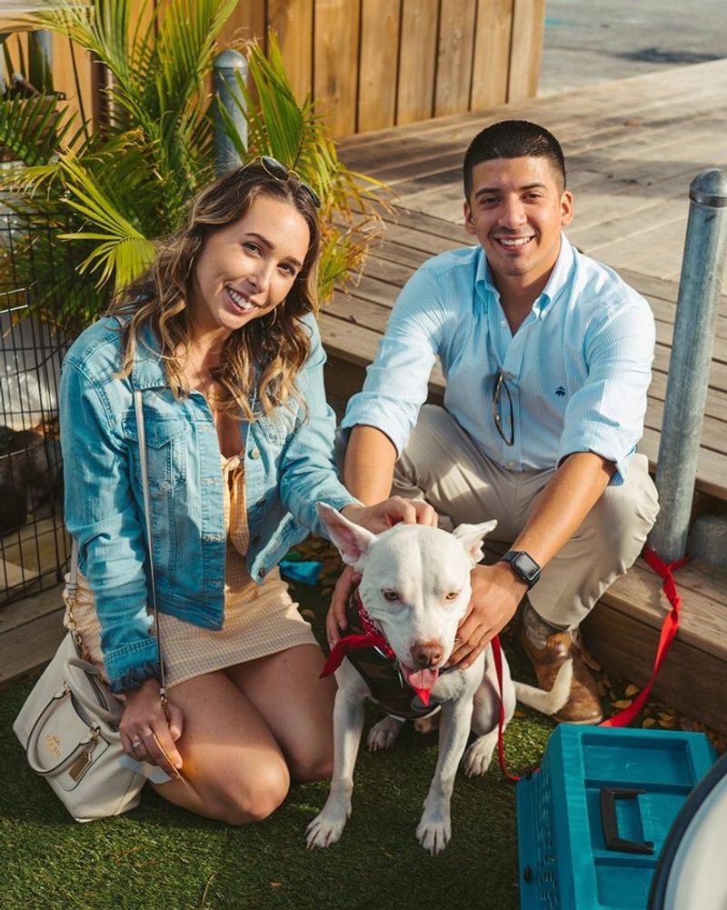 Dog Treats Your Pup Will Actually Flip For