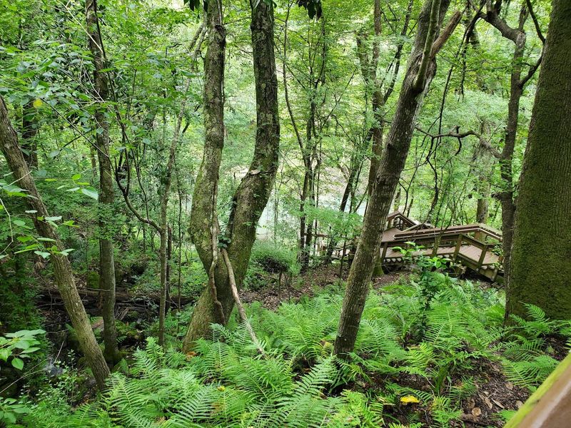 Devil's Millhopper Geological State Park, Gainesville