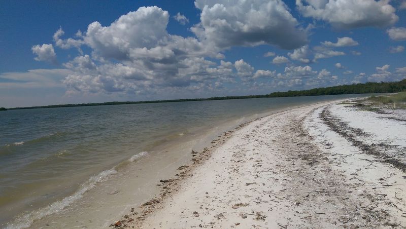 Ten Thousand Islands National Wildlife Refuge (Naples/Goodland)