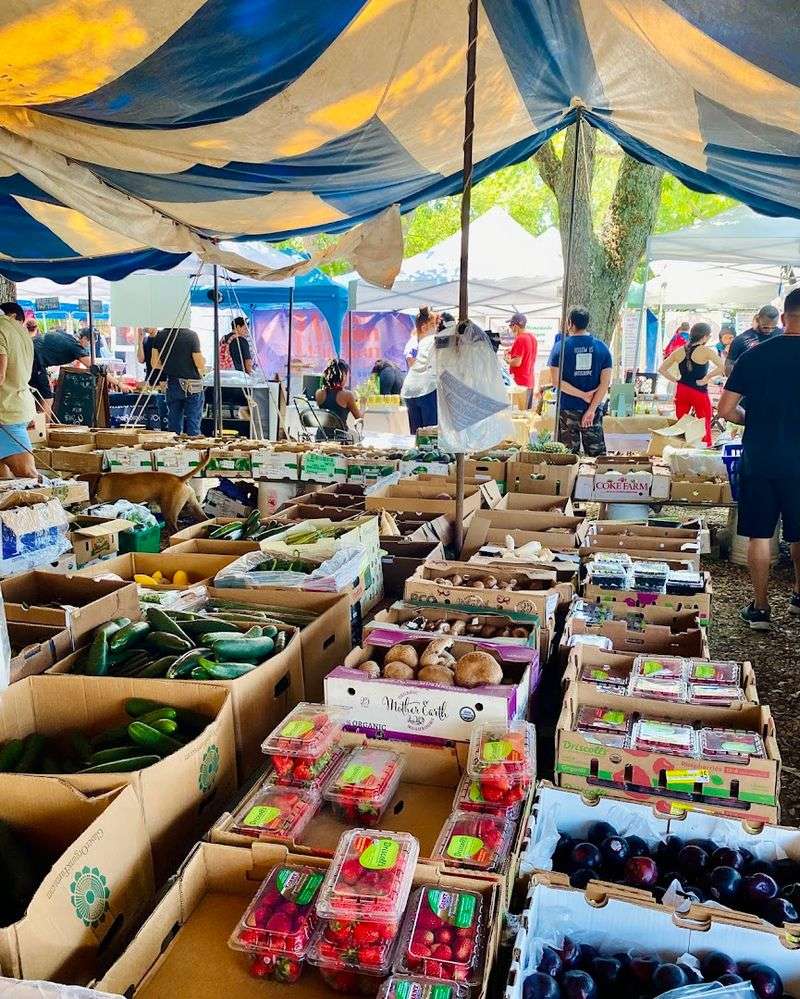 Coconut Grove Farmer's Market 