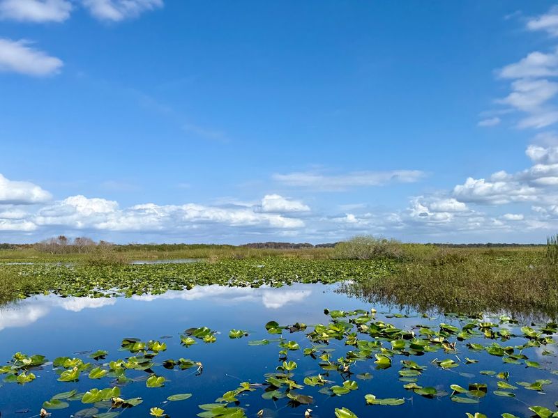Spirit of the Swamp Airboat Rides (Kissimmee)