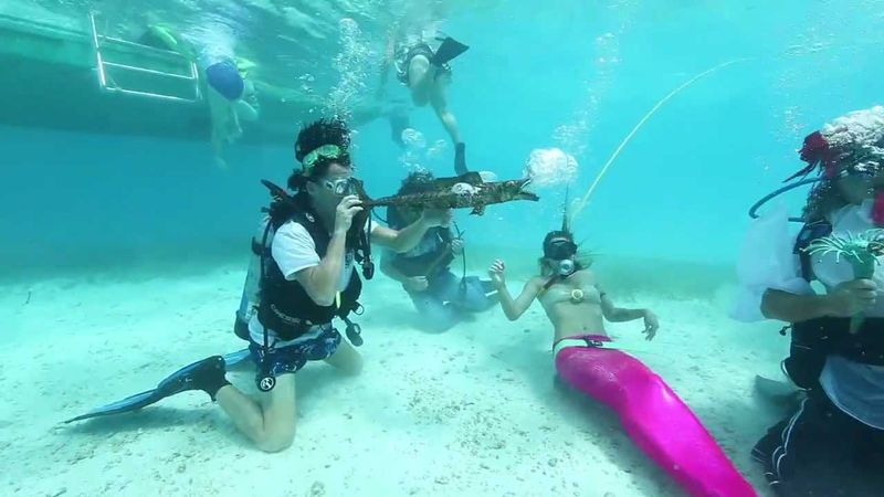 Four Decades of Conservation Through Celebration