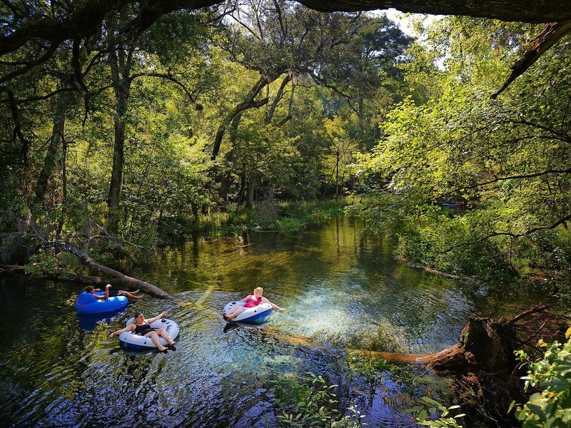 Go swimming or tubing at a Florida spring (Dunnellon, High Springs, Orange City, etc.)