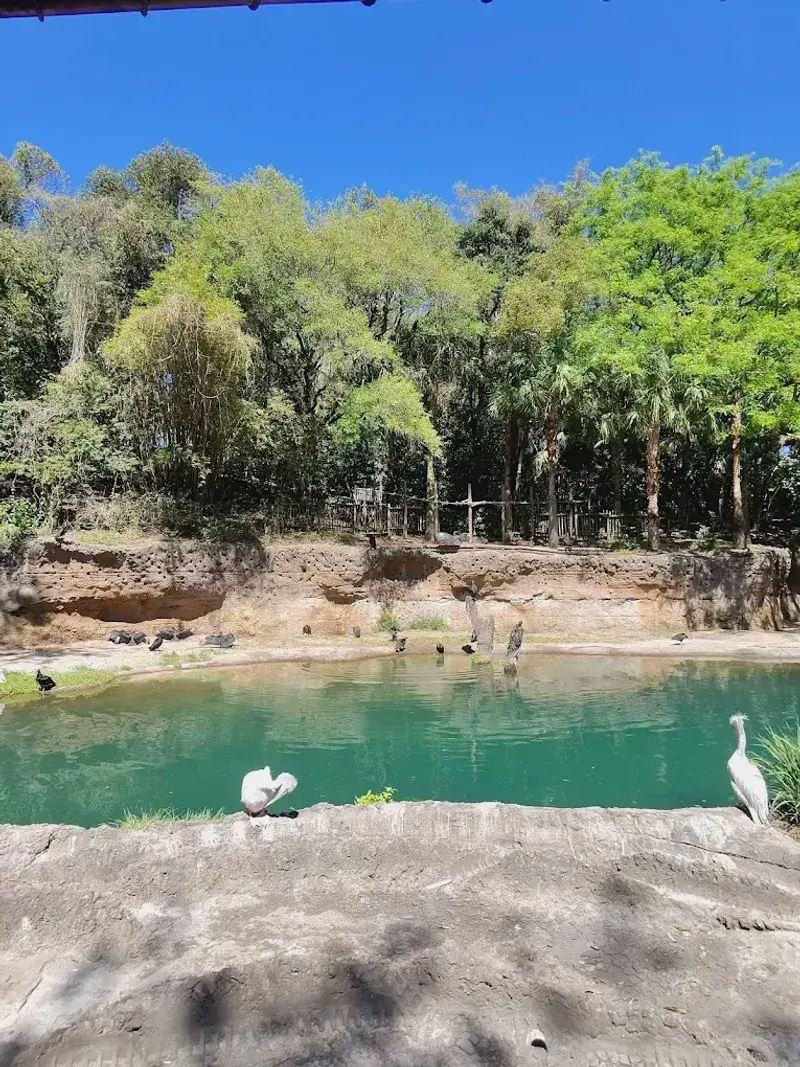 Knowledgeable and Enthusiastic Guides