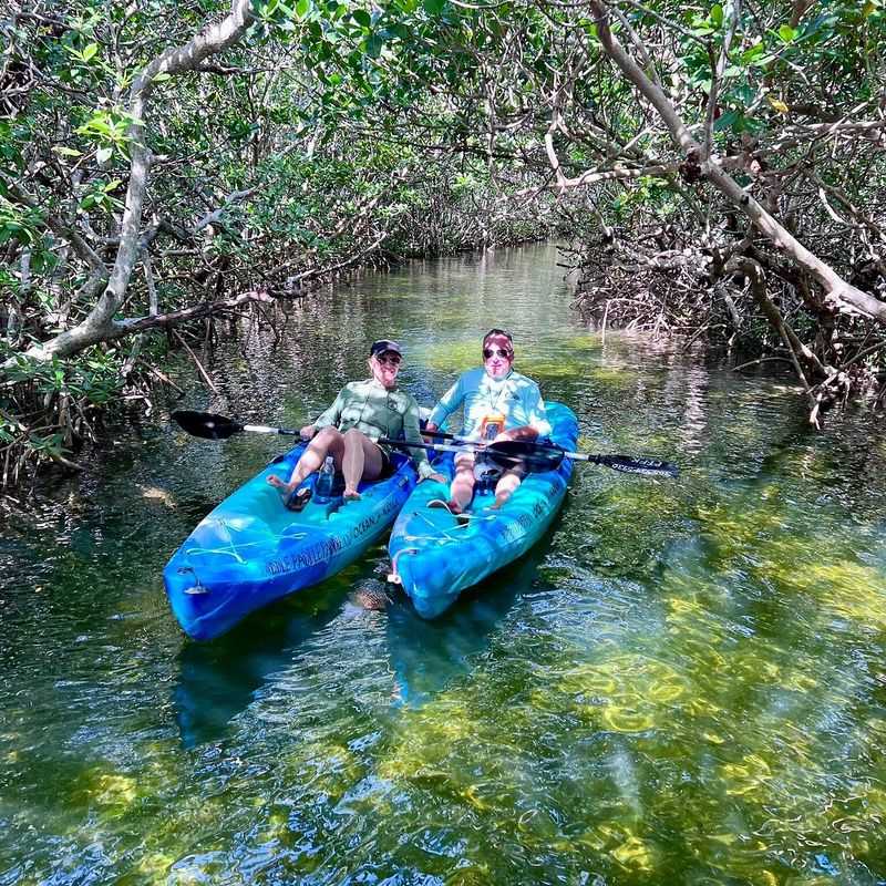 Shallow-Water Kayaking Through Mangrove Lagoons