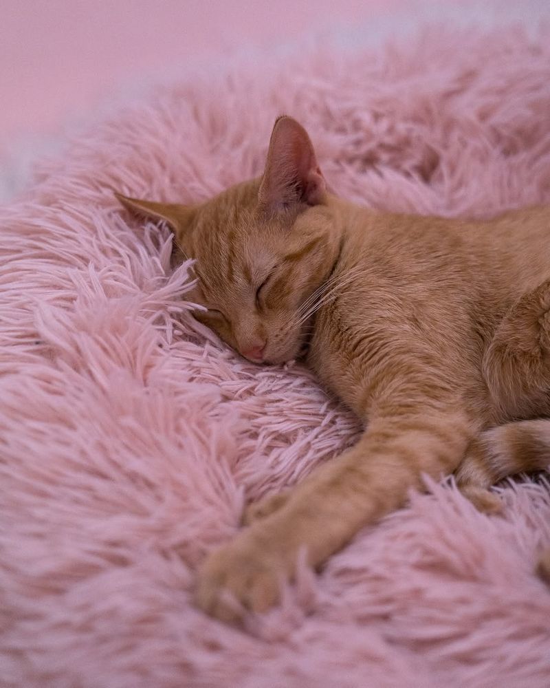 Respecting The Rules