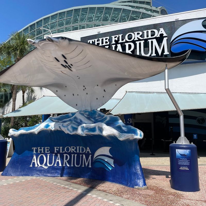 Hands-on marine and coastal education