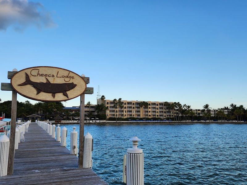 Cheeca Lodge & Spa, Islamorada