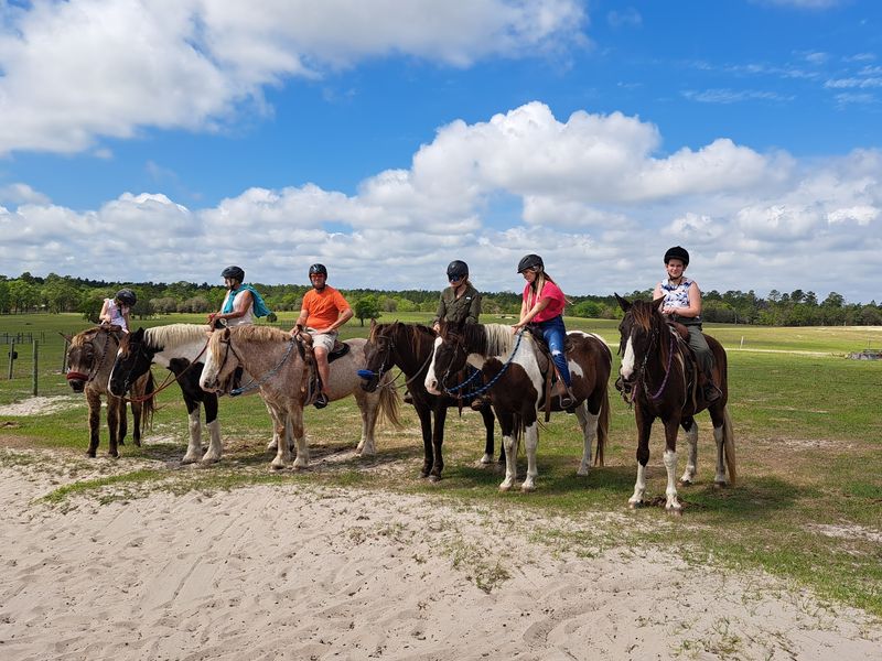 Orange Blossom Trail Rides (Dunnellon)