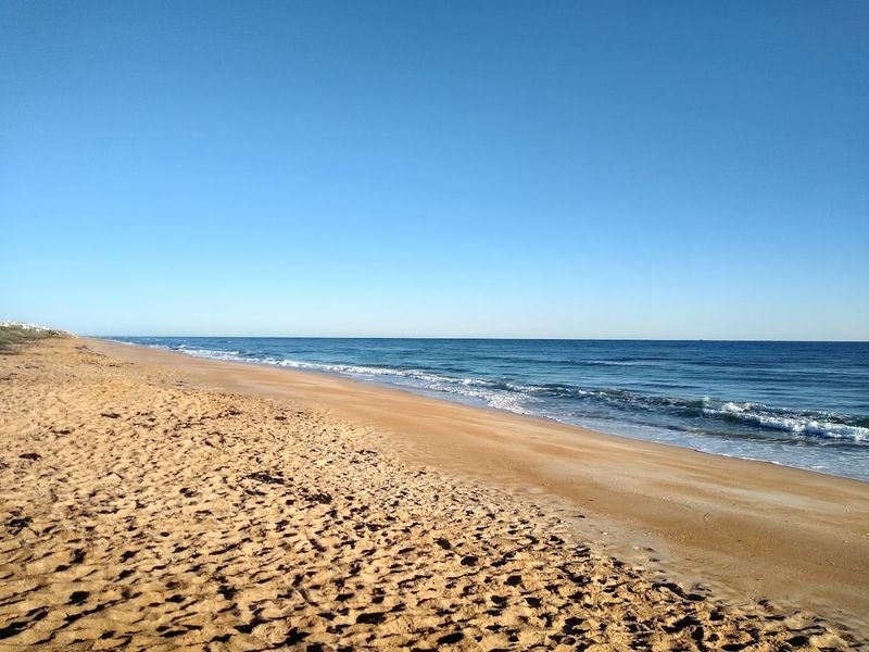 Making the Most of Your Flagler Beach Visit