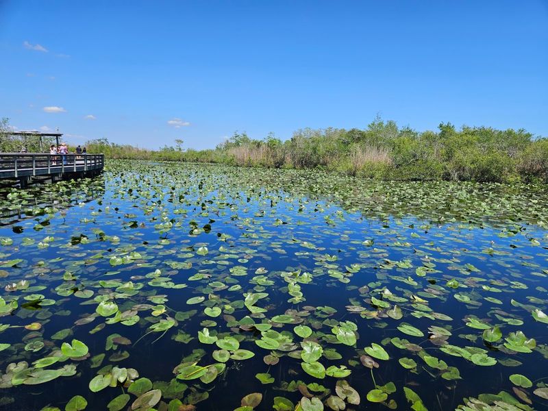 Everglades National Park (Homestead)