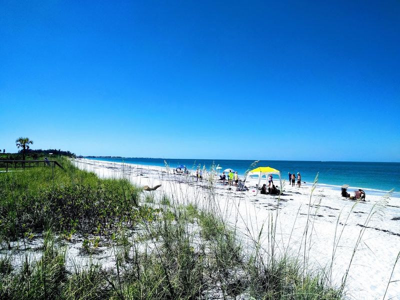 Don Pedro Island (Placida)