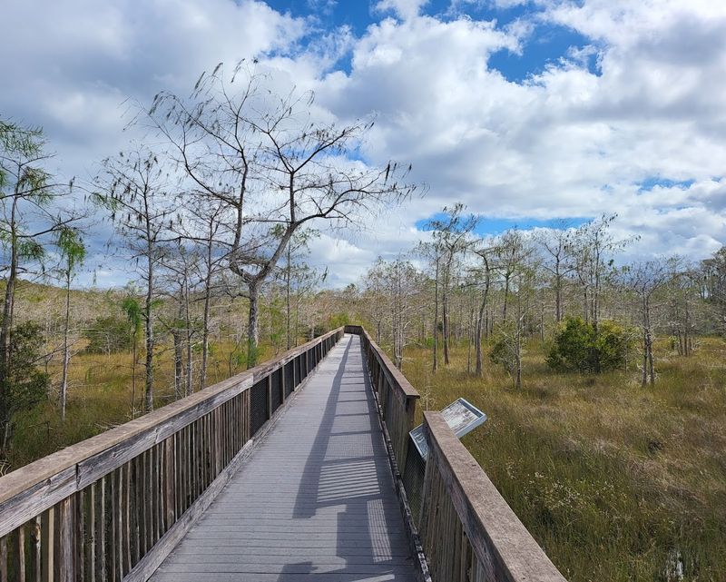 The Greater Everglades Section Steals the Show