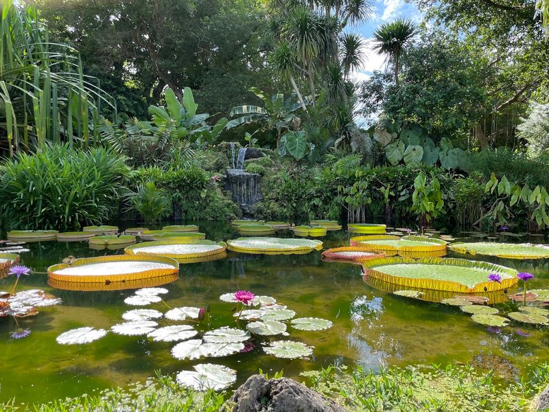 Fairchild Tropical Botanic Garden, Coral Gables