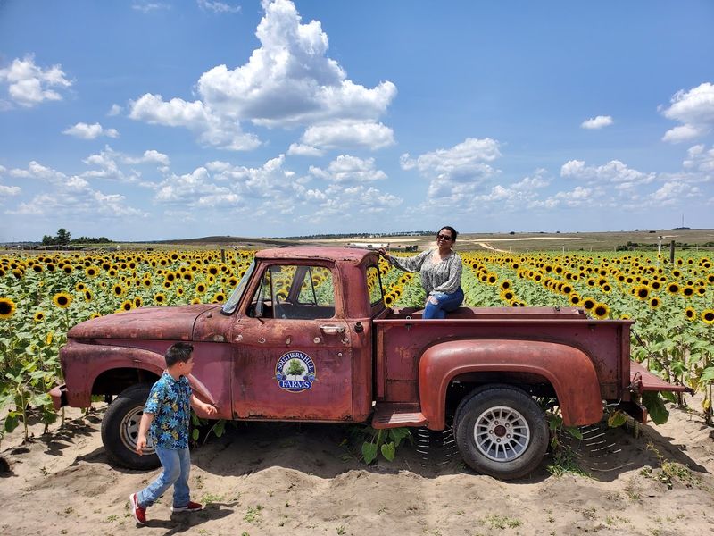 Southern Hill Farms (Clermont)