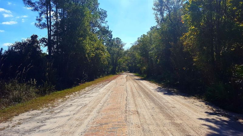 Wildlife, Wilderness, and the Quiet Charm of the Surrounding Landscape