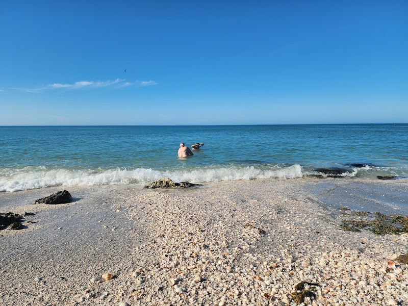 Caspersen Beach: The Ultimate Shark Tooth Hunting Ground