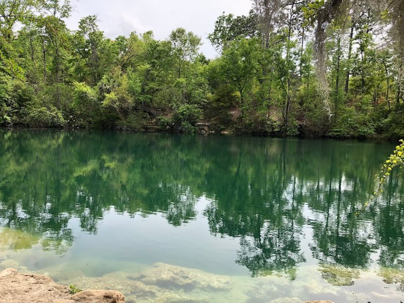 Wakulla Springs Cherokee Sink Trail