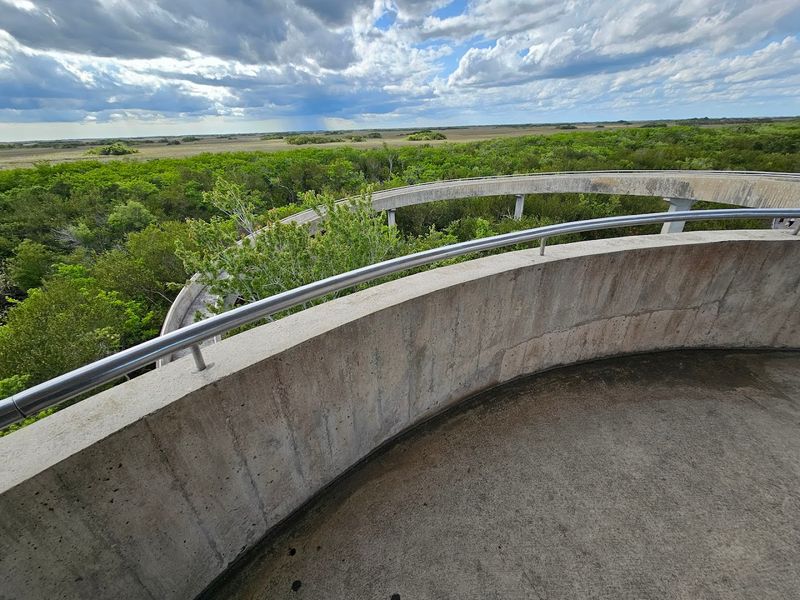Shark Valley Trail (Everglades National Park)