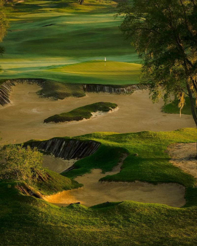 World-Class Caddies Who Elevate Your Round