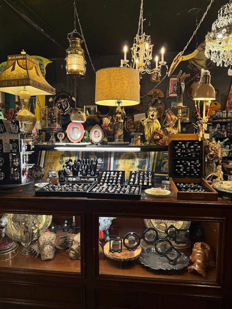 The Spellbinding Entrance And Vibe