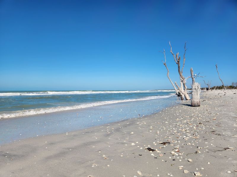 Cayo Costa State Park Next Door