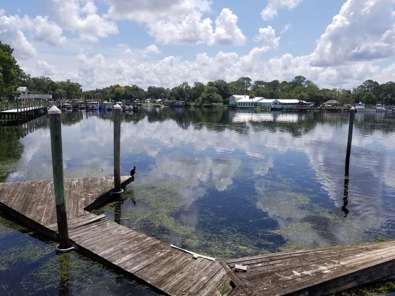 Crystal River