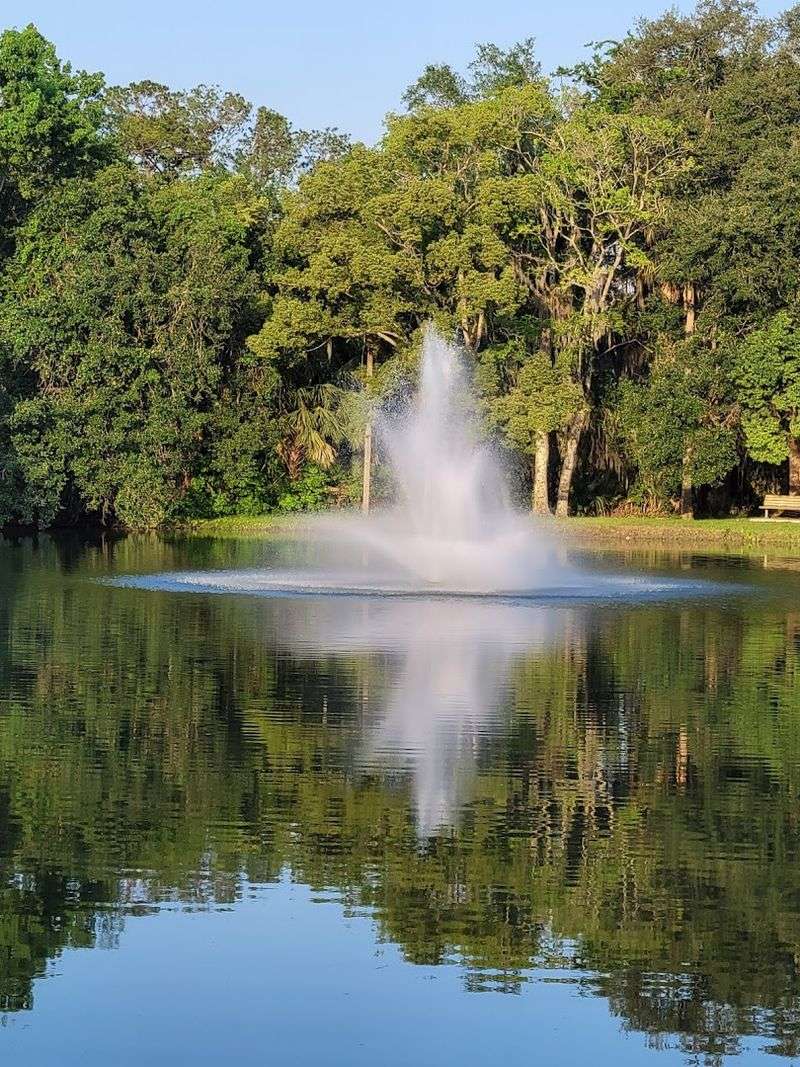 Silver Springs Boulevard's Hidden Gems