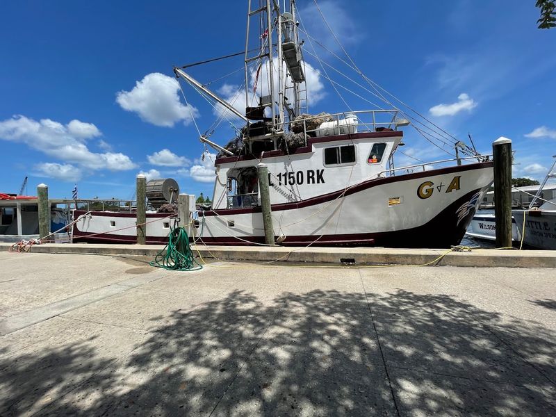 Tarpon Springs Sponge Docks (Tarpon Springs)