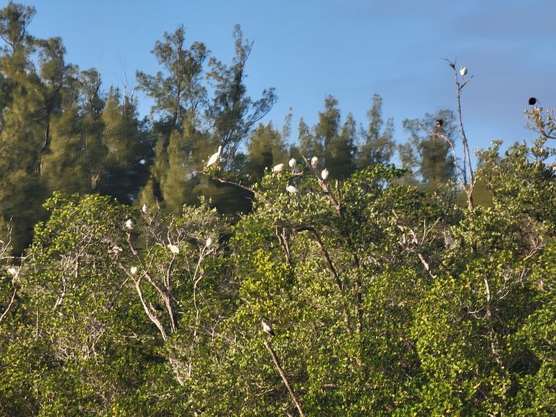 Seabranch Preserve State Park