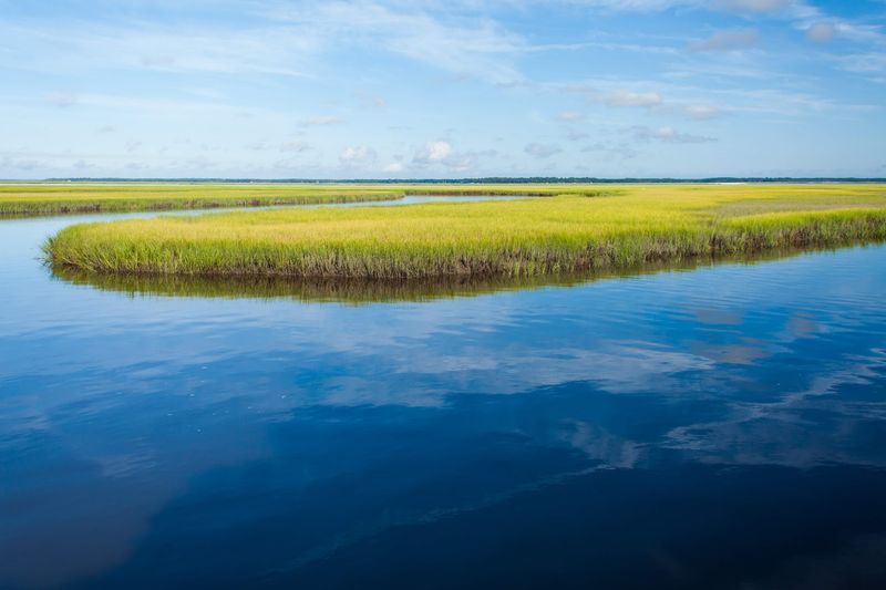 Marshlands That Feel Like Stepping Back in Time