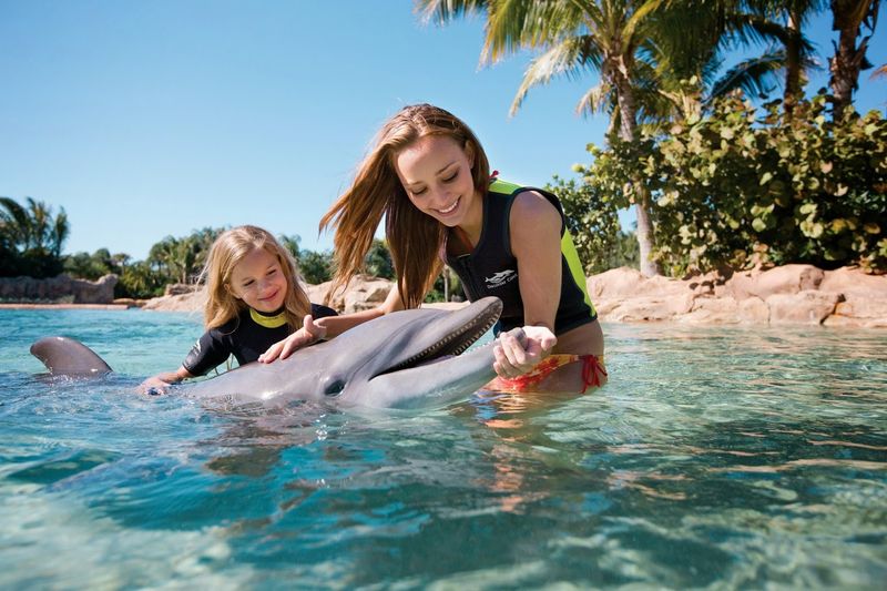 Discovery Cove (Orlando)