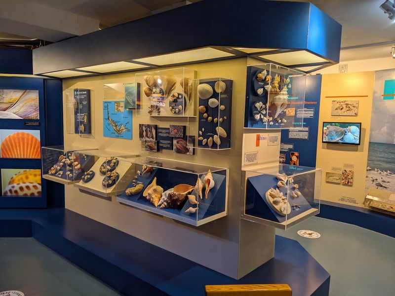 Bailey-Matthews National Shell Museum & Aquarium (Sanibel)