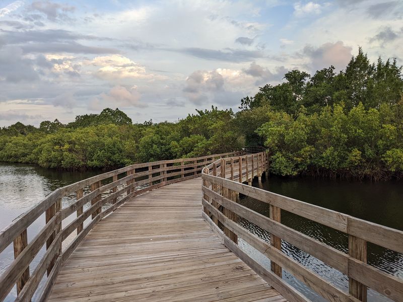 Emerson Point Preserve Observation Tower (Palmetto)