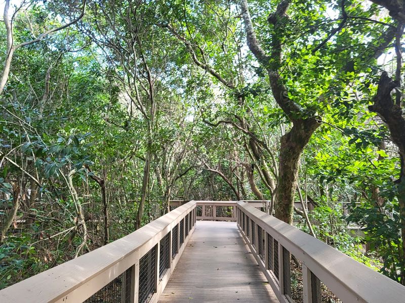 Gumbo Limbo Nature Center (Boca Raton)