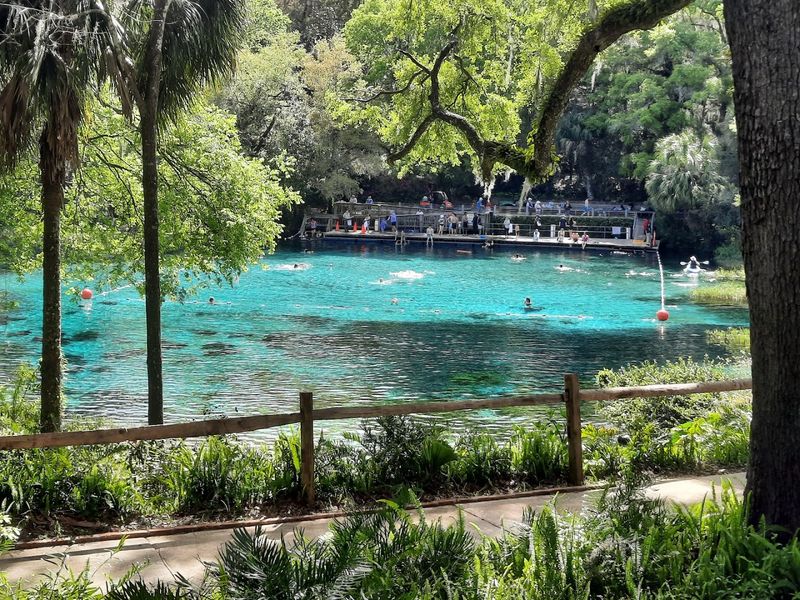 Rainbow Springs State Park (Dunnellon)