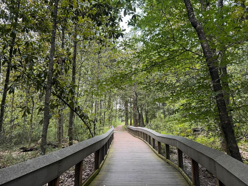 Falling Waters Sinkhole Trail (Chipley)