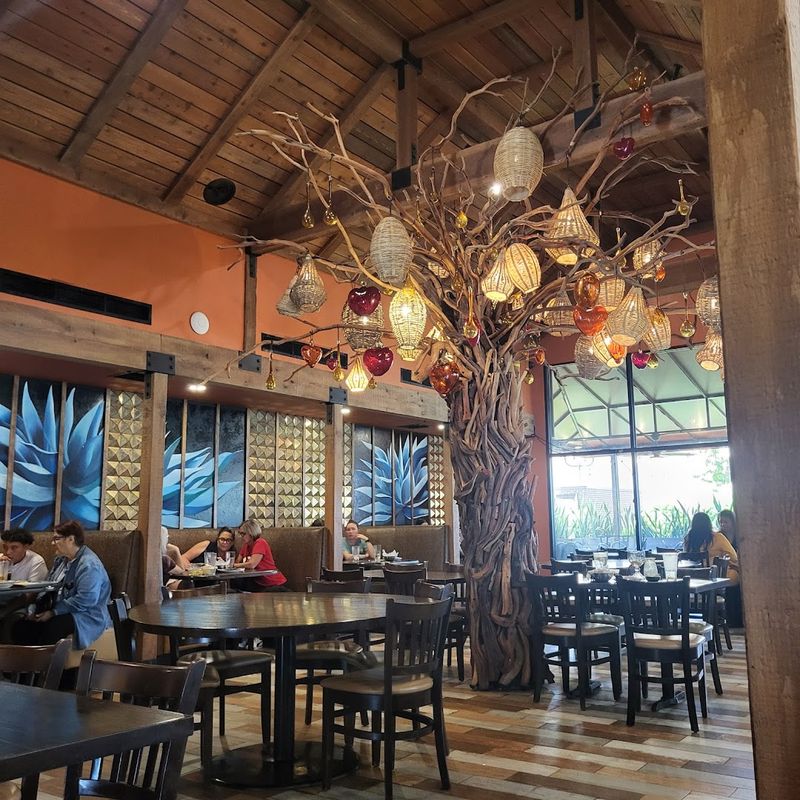 Azteca D'Oro Mexican Restaurant (Winter Garden)