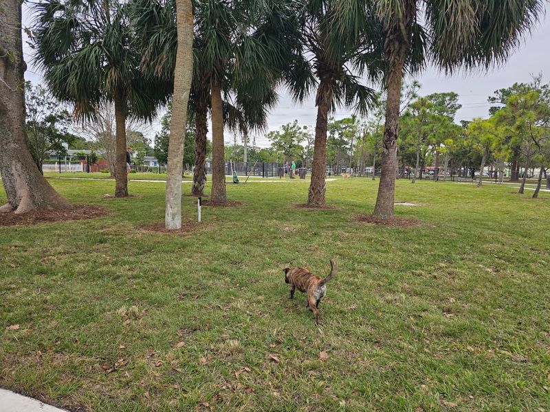 Wags and Waves Dog Beach (Pompano Beach)