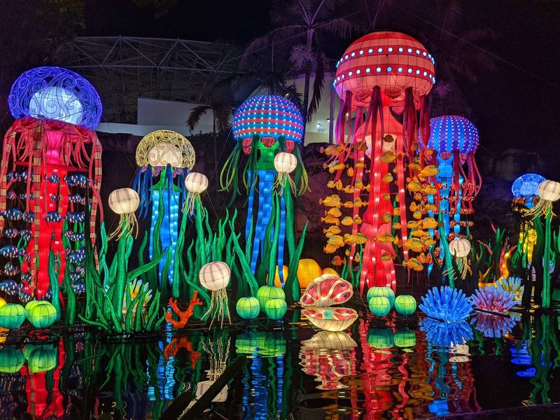 Jungle Island – Miami