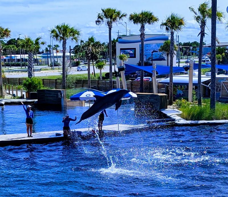 Gulfarium Marine Adventure Park (Fort Walton Beach)