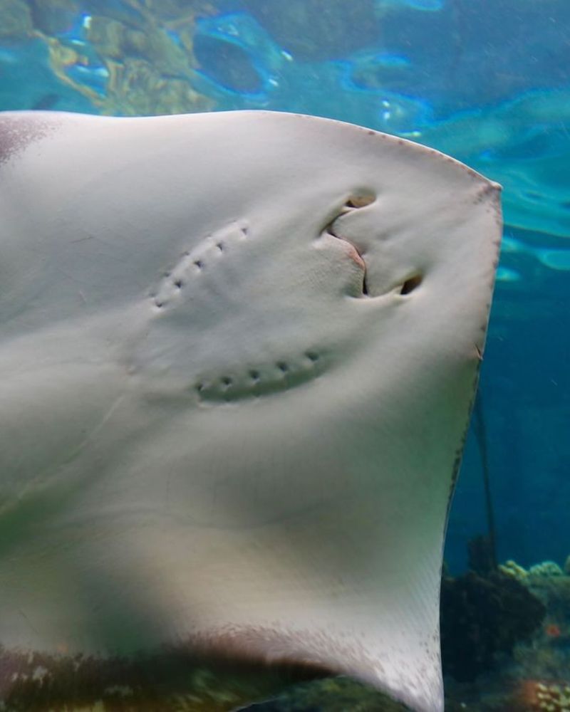 The Florida Aquarium, Tampa Bay