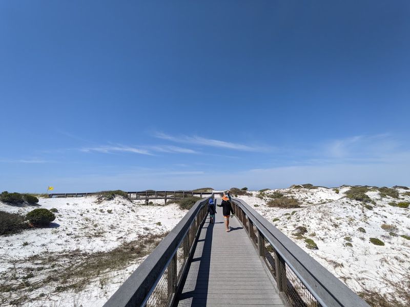 Take A Beach Day At Grayton Beach State Park (Santa Rosa Beach)