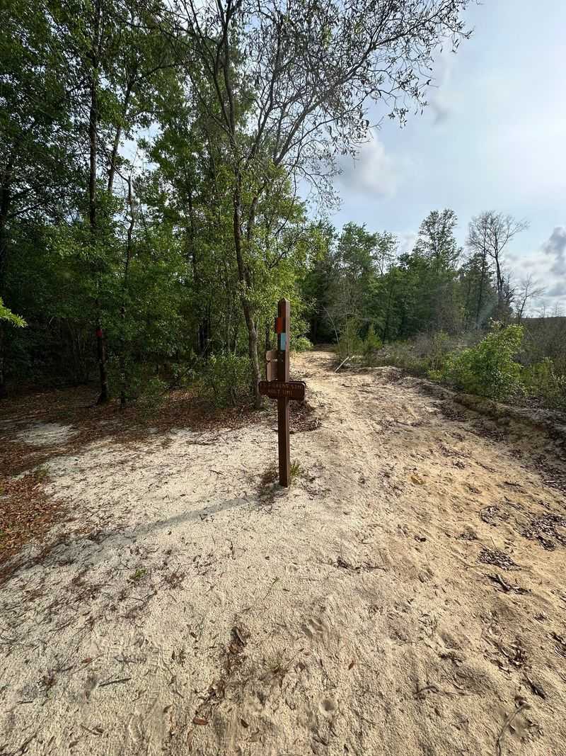 Red Clay Banks Exposing Florida's Hidden Geology